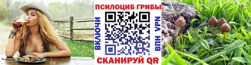 даркнет сайт  Новоалтайск  Псилоцибиновые грибы прущие грибы 
